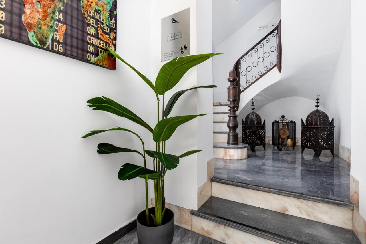 Pinzon Studios & Penthouse 阿利坎特 外观 照片